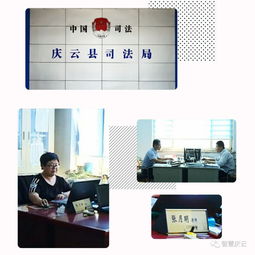 庆云县村村有了免费法律顾问，贴心服务解民忧